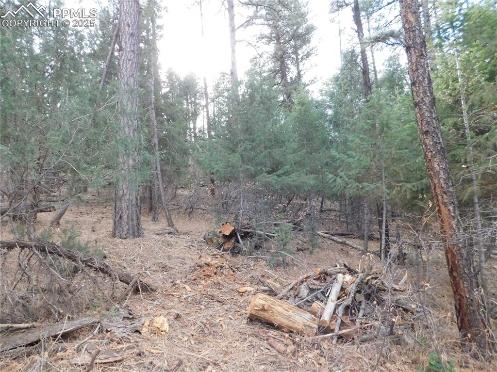 Image 8 of 46: No Description Available