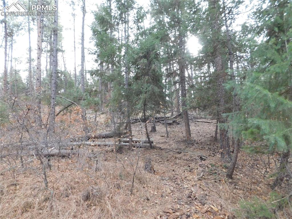 Image 9 of 46: No Description Available