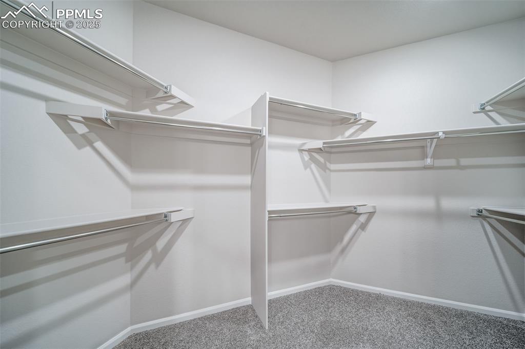 Image 20 of 25: Walk in closet with light carpet