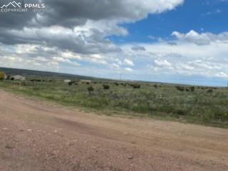 Image 6 of 6: Community