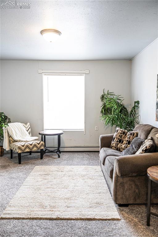 Image 6 of 21: Living Room