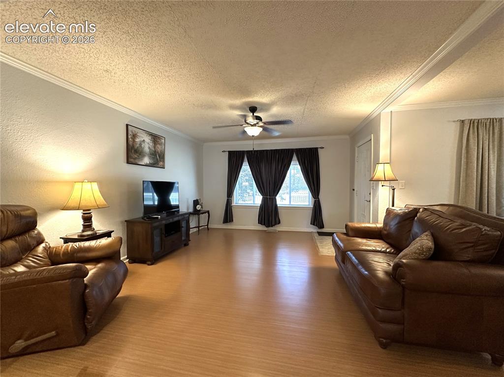 Image 4 of 24: Living Room