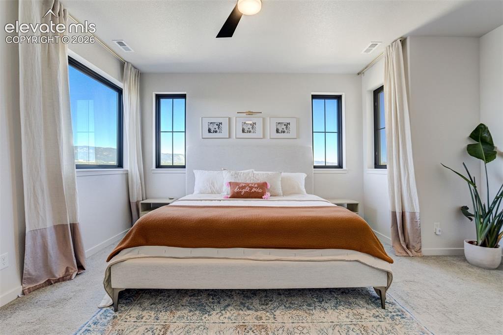 Image 23 of 50: Bedroom featuring carpet flooring, multiple windows with black frames, and
