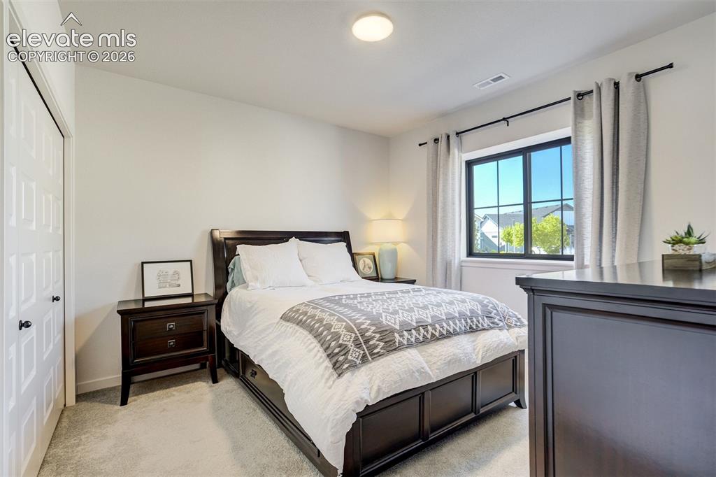 Image 33 of 50: Carpeted room featuring a double-pane window with dark trim, a flush-mount