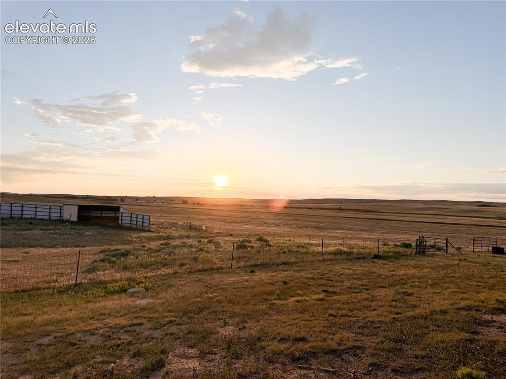 Image 9 of 42: Yard