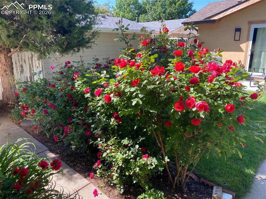 Image 5 of 39: Other