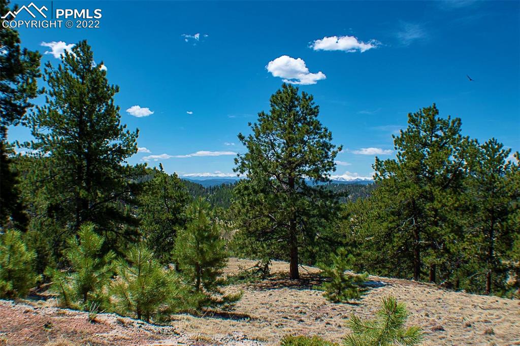 Listing 8476602, Image 33 of 40