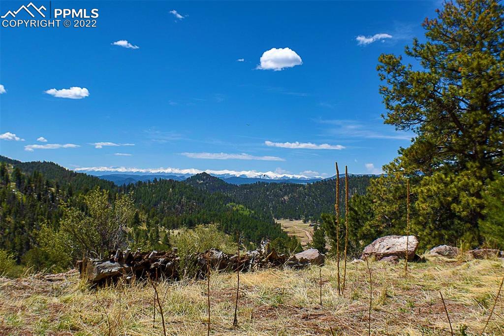 Listing 8476602, Image 6 of 40