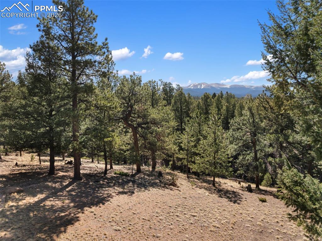 Image 11 of 50: View