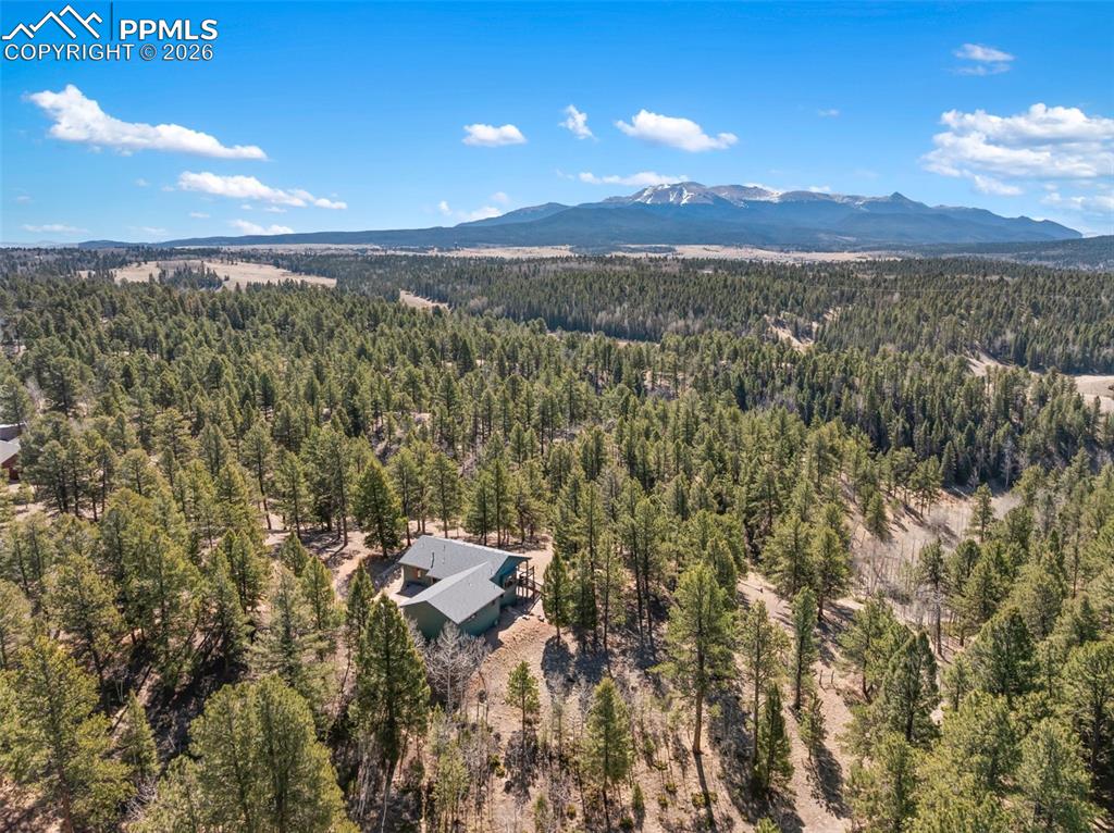 Image 9 of 50: Aerial View