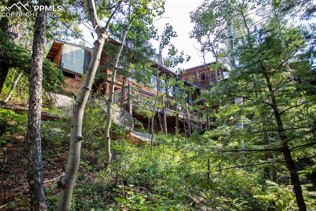 Image 39 of 46: Back of Structure