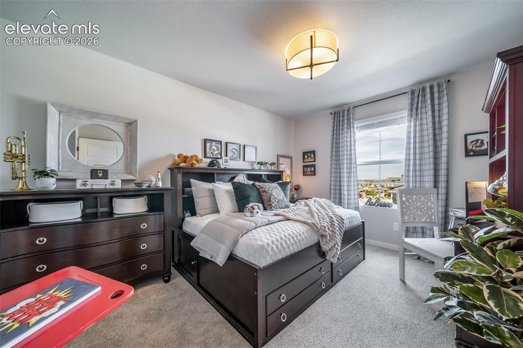Image 12 of 45: Carpeted room featuring a ceiling-mounted light fixture, a window with plai