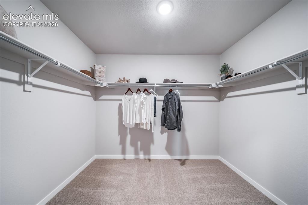 Image 42 of 45: Walk-in closet featuring light gray walls, white trim, and neutral carpet
