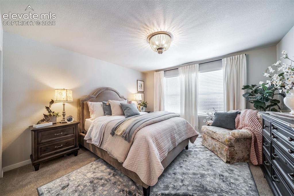 Image 6 of 45: Neutral wall tones complement the plush carpet flooring
*Photos of a model