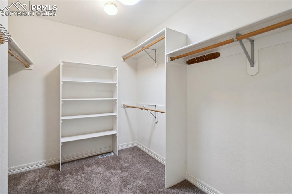 Image 20 of 49: Walk in closet with carpet flooring