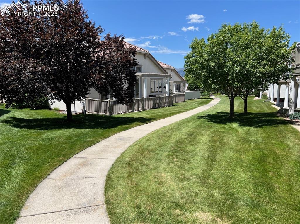 Image 48 of 49: View of green lawn