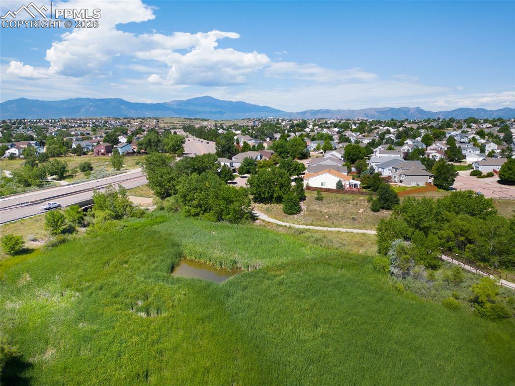 Image 37 of 38: Back of Structure