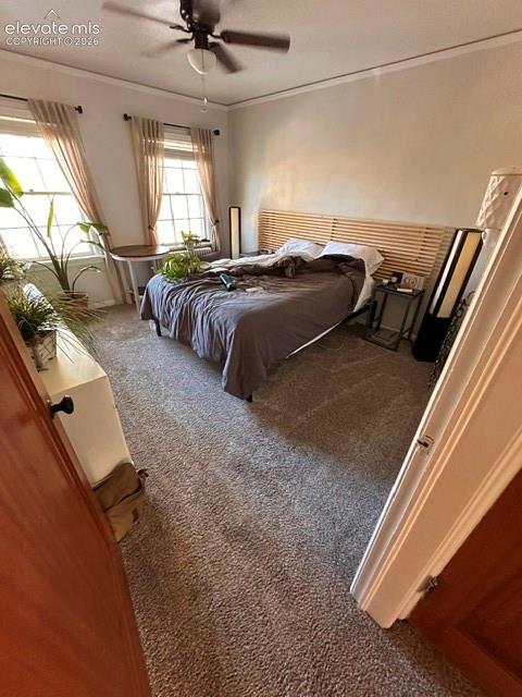 Image 11 of 16: Bedroom
