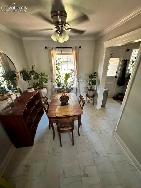 Image 7 of 16: Dining Area