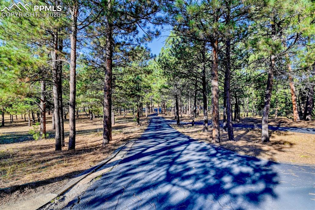 Image 25 of 26: Down the driveway and over to the park