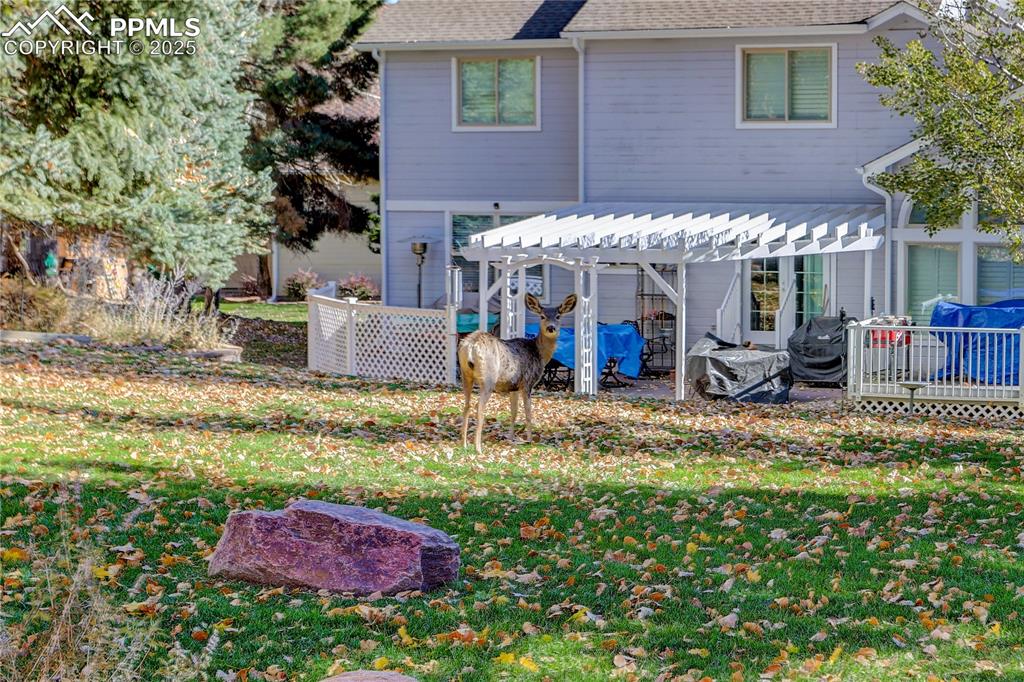 Image 41 of 47: One of the neighbors is stopping to say "hello".