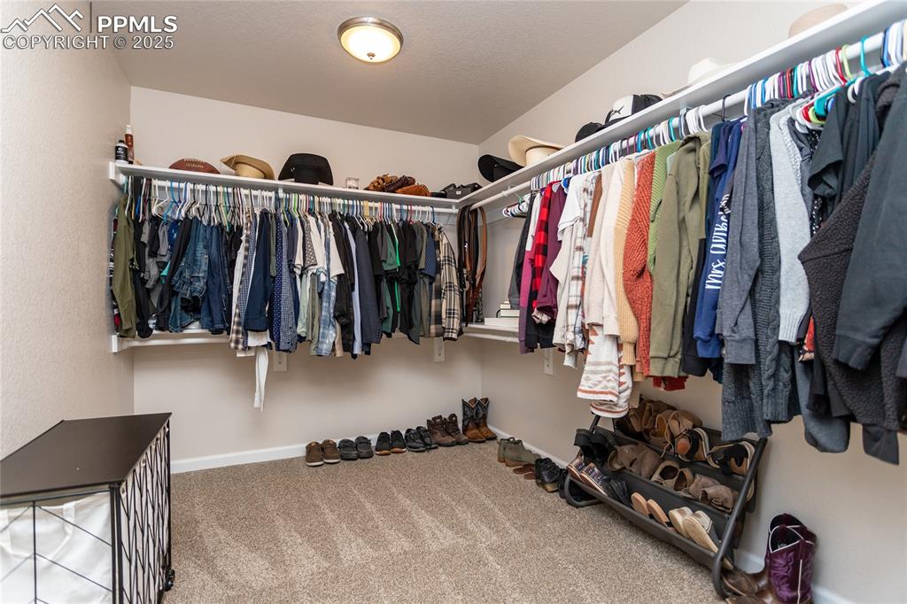 Image 22 of 38: Walk in closet featuring carpet floors