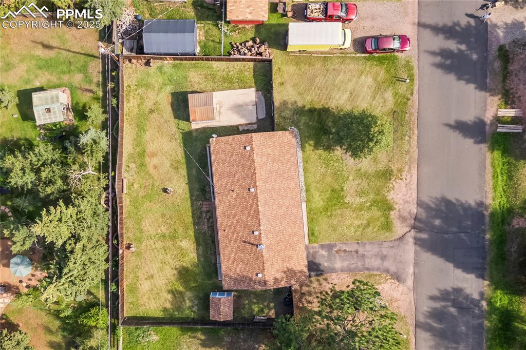 Image 22 of 25: Bird