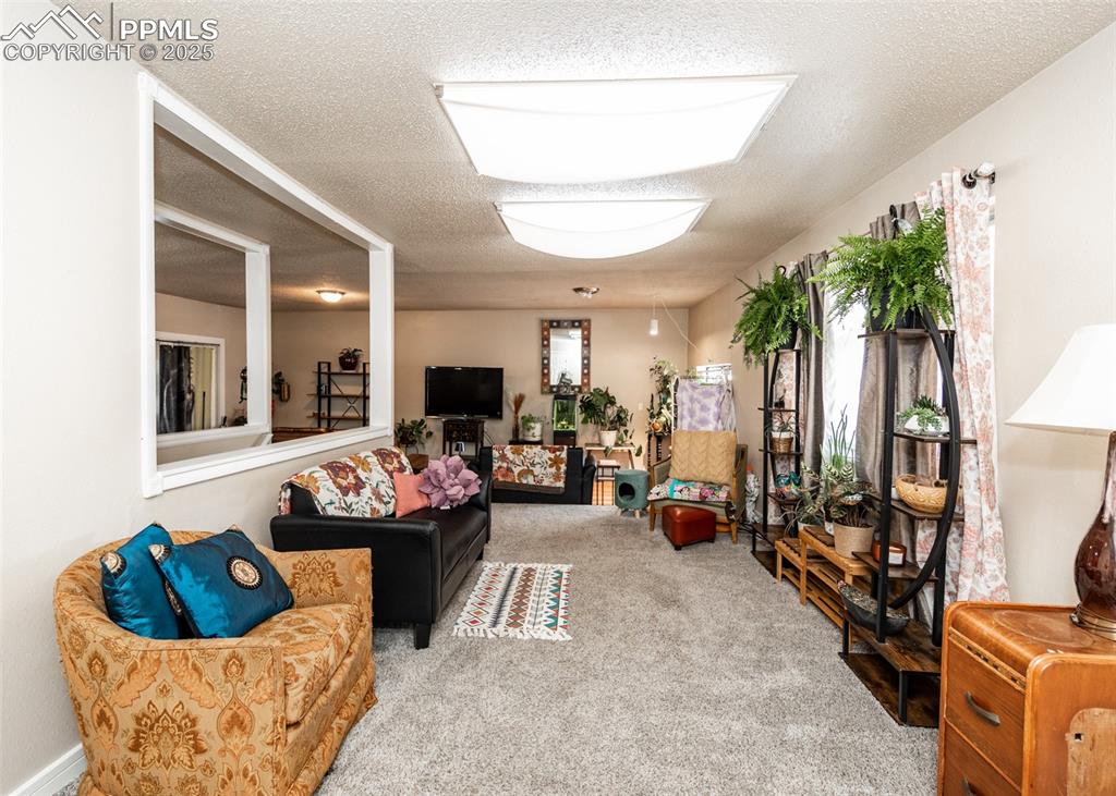 Image 20 of 42: View of carpeted living room