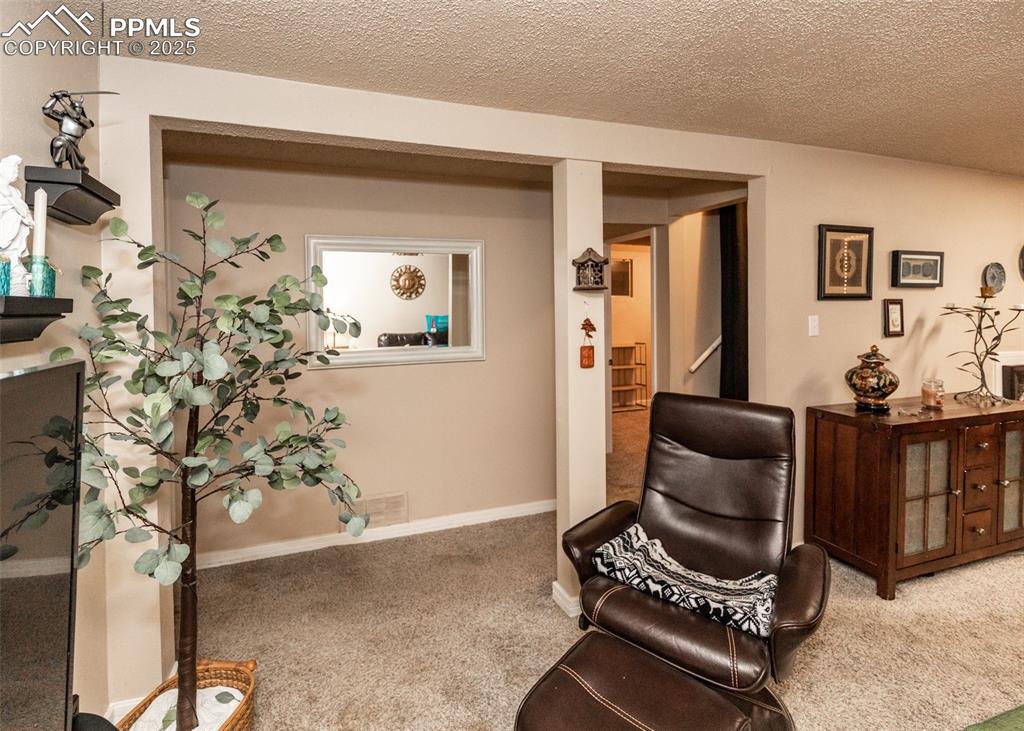 Image 33 of 42: Living area with carpet floors and a textured ceiling
