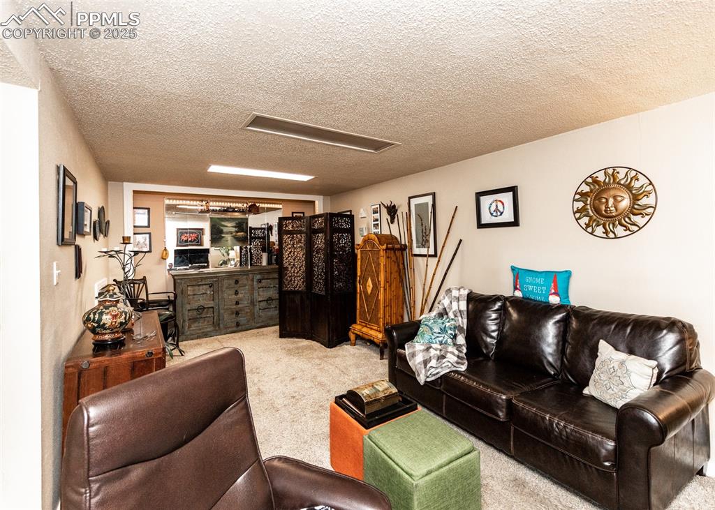 Image 34 of 42: Living area with carpet and a textured ceiling