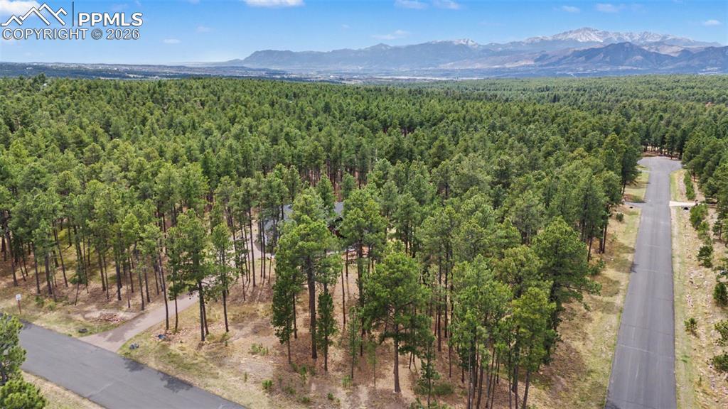 Image 45 of 50: Back of Structure