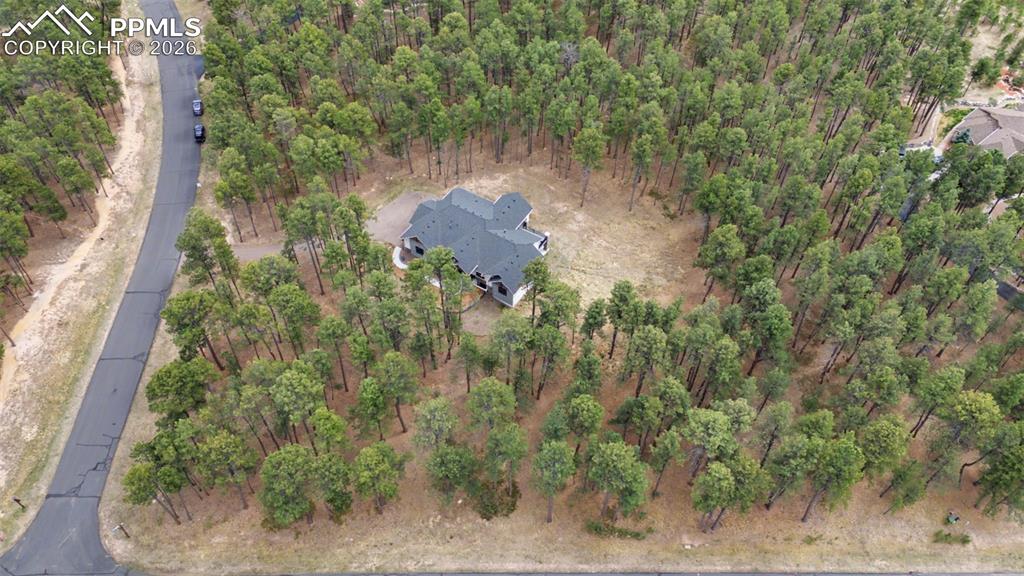 Image 46 of 50: Front of Structure