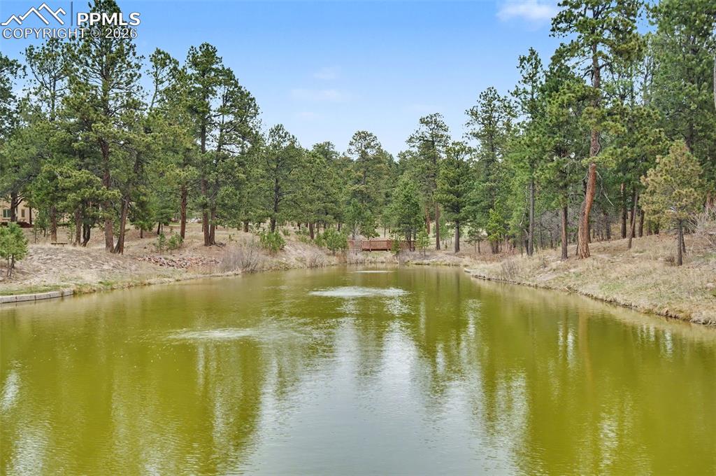 Image 50 of 50: Community