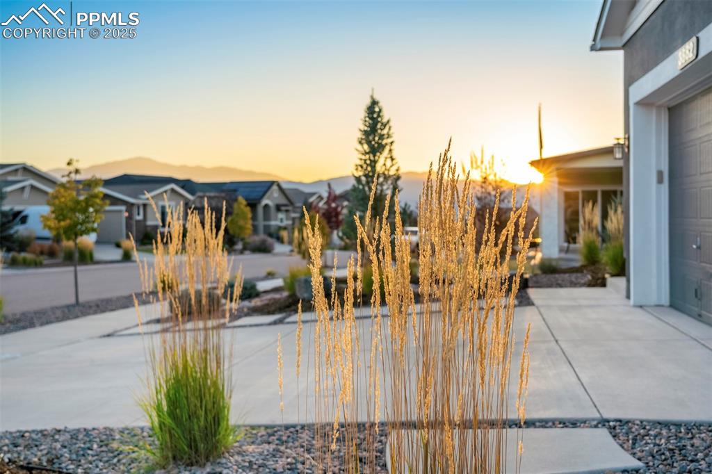 Image 48 of 50: Greatness lies in the details. 