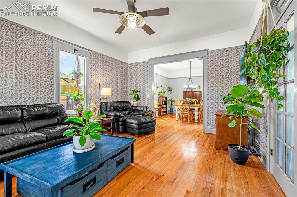 Image 5 of 41: Light-filled and effortlessly inviting