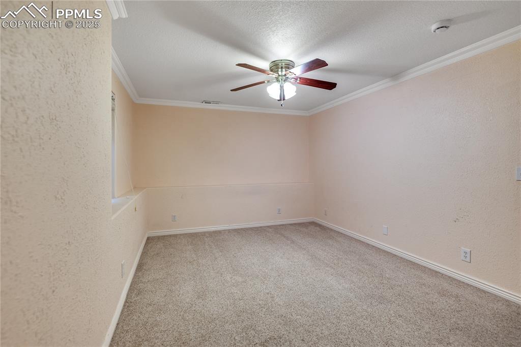 Image 36 of 46: Spare room with a ceiling fan, carpet floors, crown molding, a textured wal