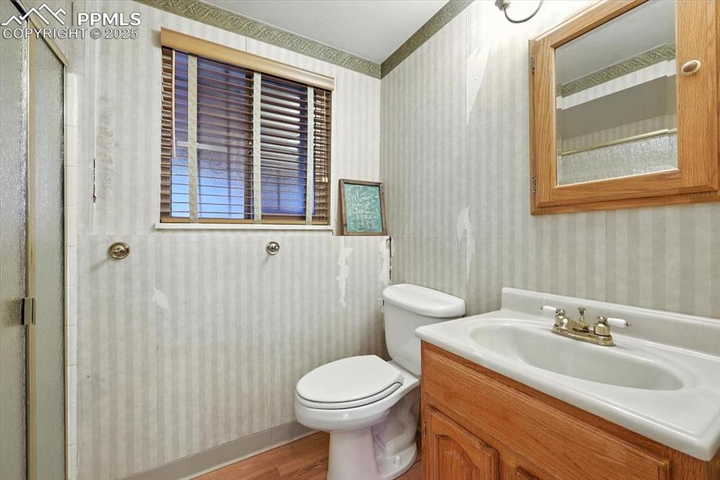 Image 27 of 36: Bathroom in the basement