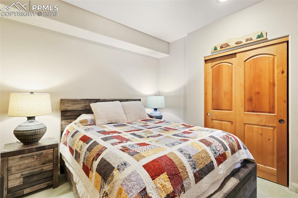 Image 13 of 19: Bedroom featuring light carpet and a closet