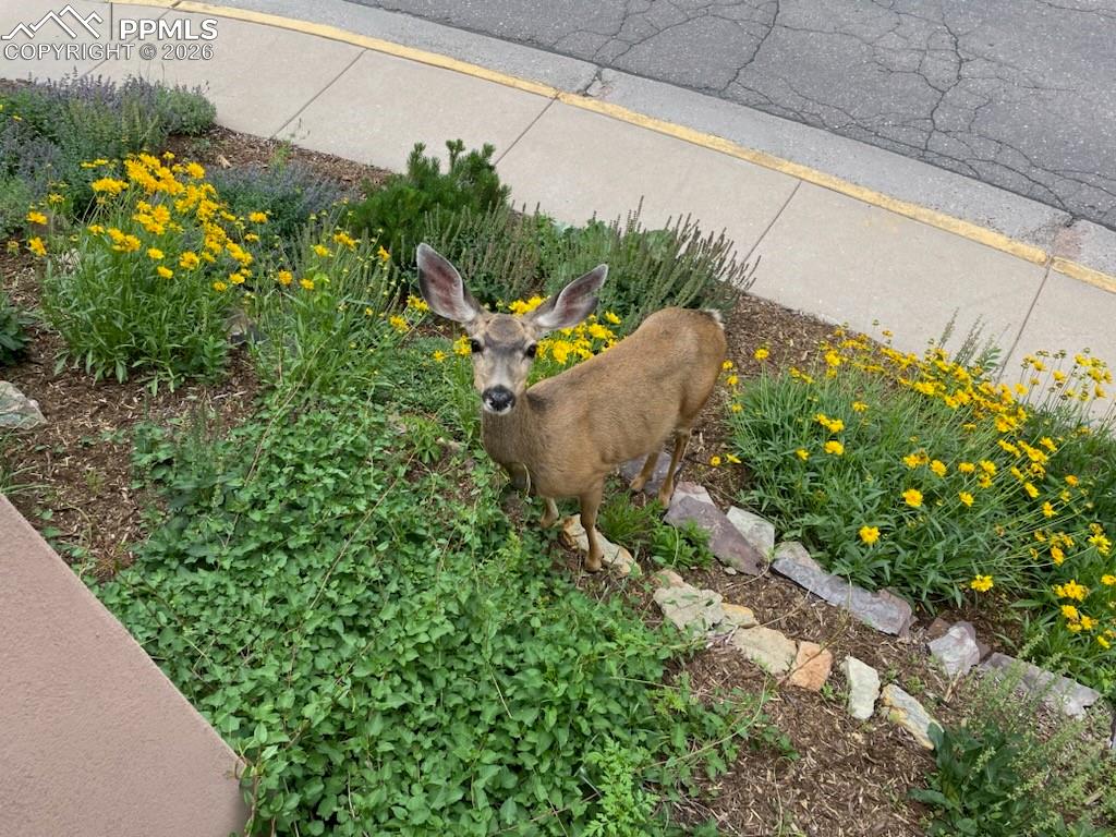 Image 25 of 28: Exterior view
