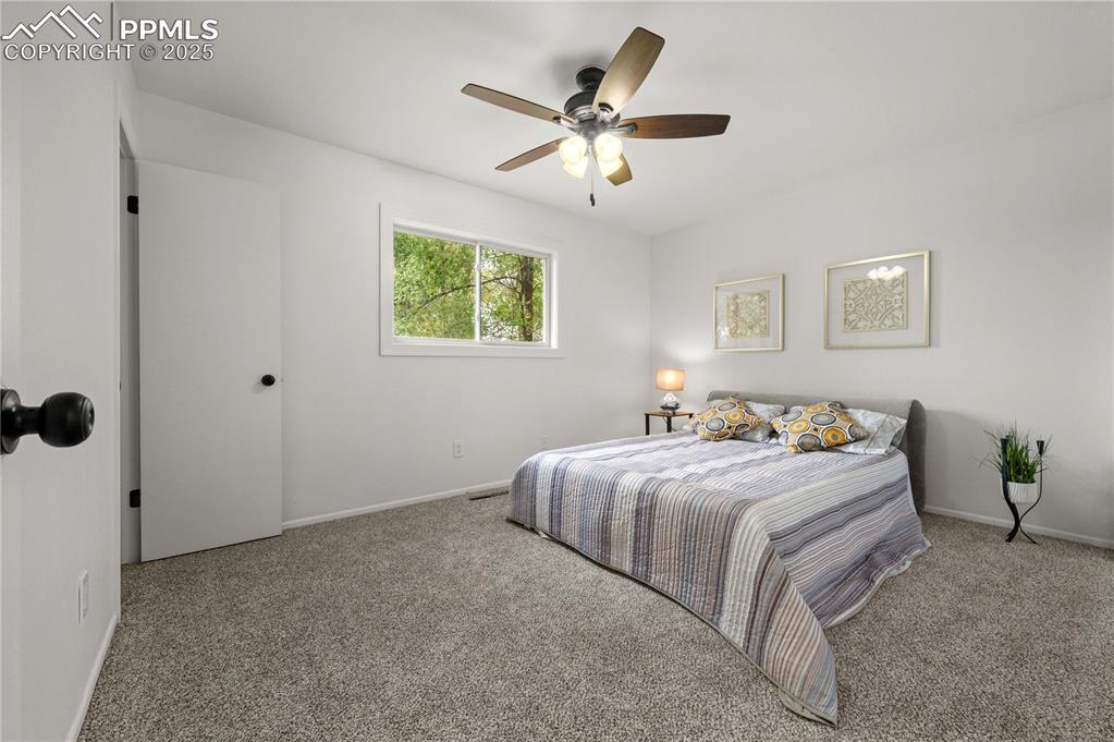 Image 17 of 31: Primary Bedroom new paint and carpet