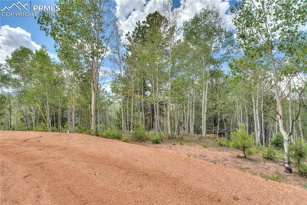 Listing 8528623, Image 7 of 7