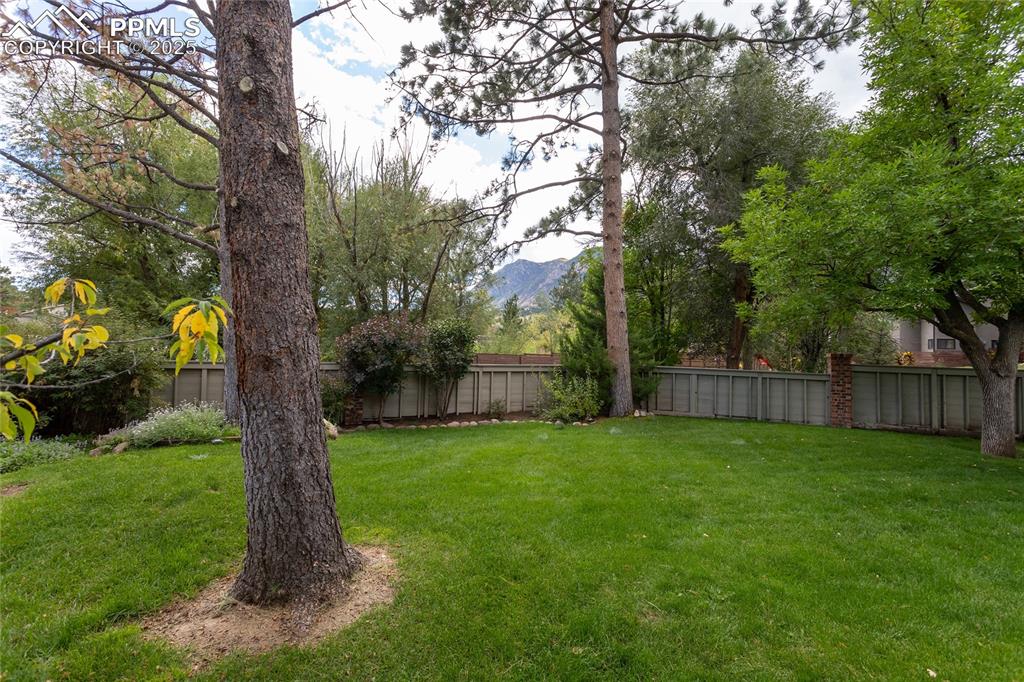 Image 46 of 50: Yard