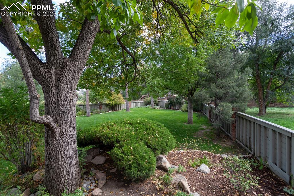 Image 47 of 50: Yard