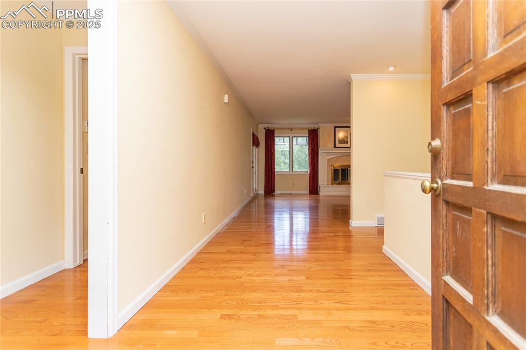 Image 9 of 50: Other