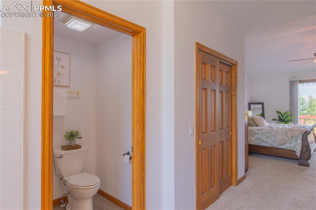 Image 36 of 50: Other