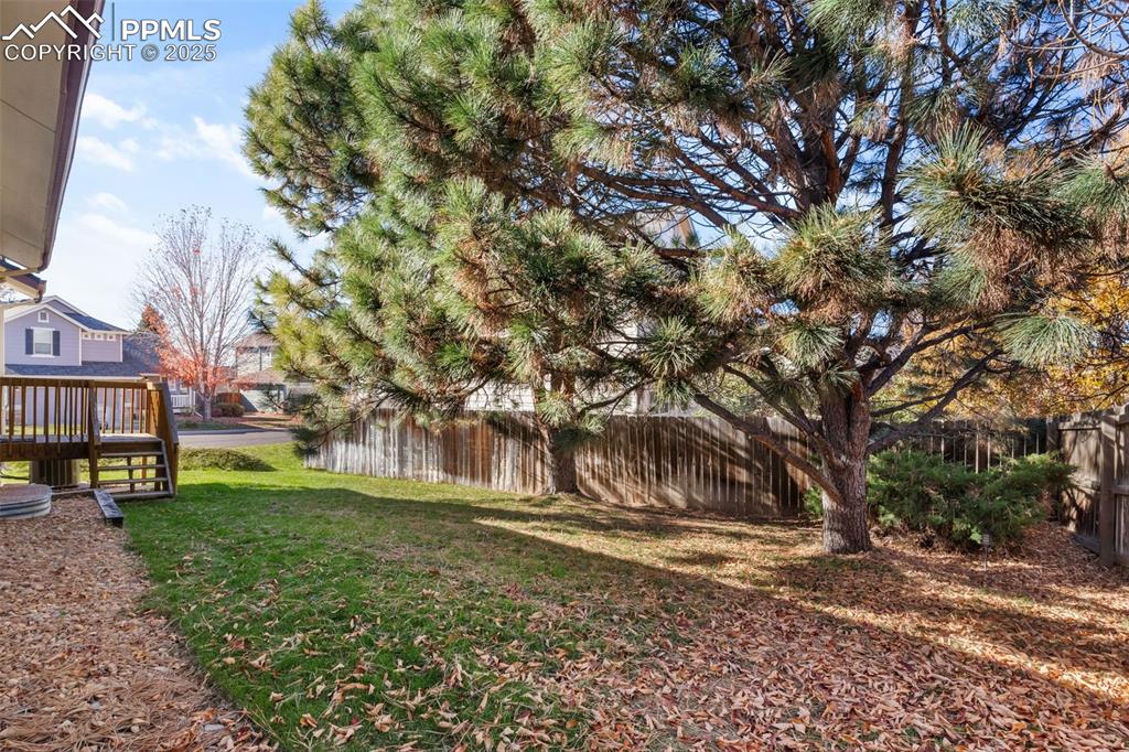 Image 33 of 42: Yard