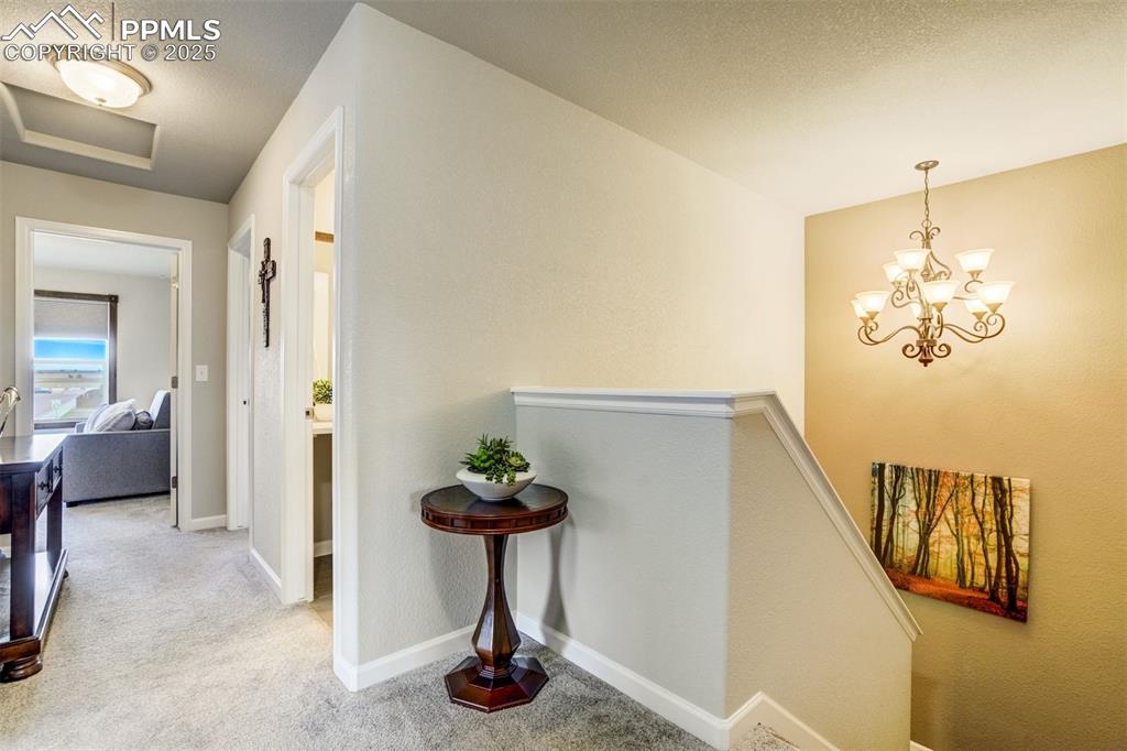 Image 22 of 30: Other