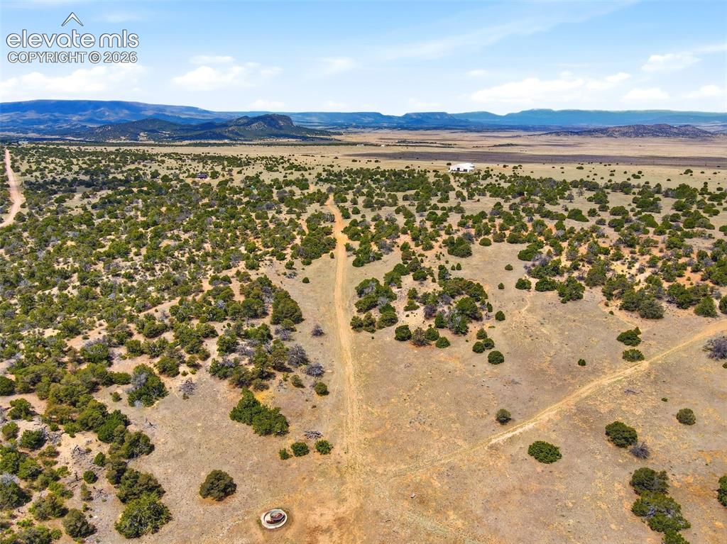 Image 48 of 48: Aerial View