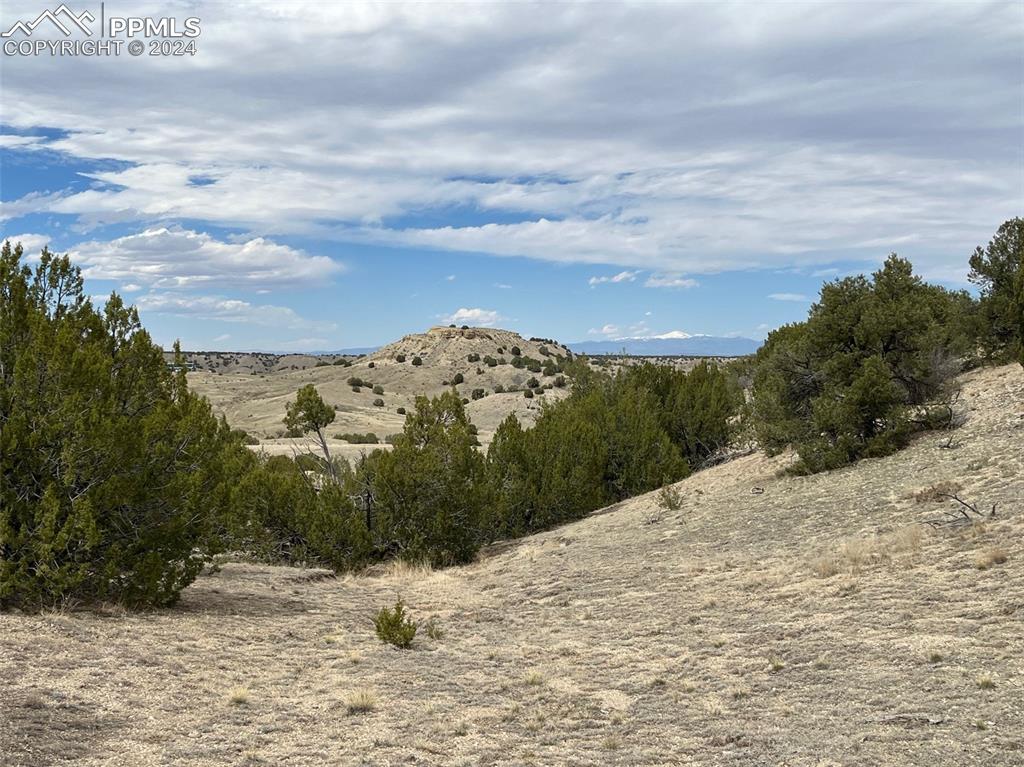 Image 11 of 12: View