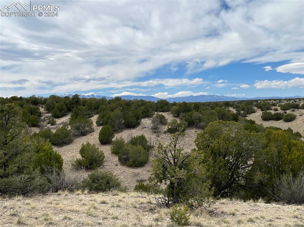 Image 3 of 12: Other